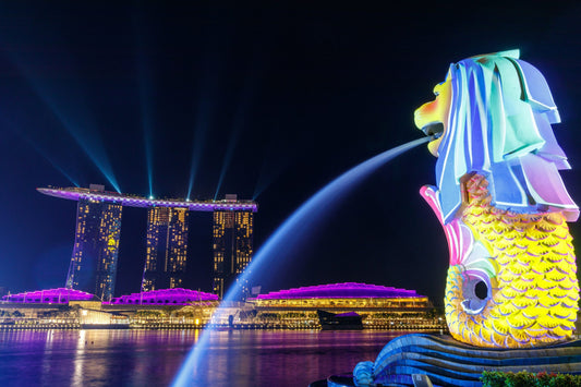 Singapore Tourist/Business Visa