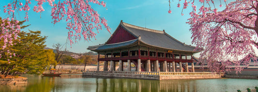 South Korea Visitor Visa
